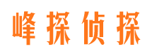 大洼侦探公司